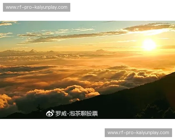 开云安卓端：开启您的奢华生活新体验